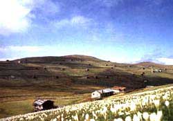 "Yaylalarımızı terörle anmayın"