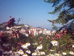 Ulubey Özel İdare binası onarılacak