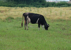 Mera işgalinin önüne geçeceğiz