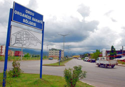 Ordu Sanayisinde gıda hakim