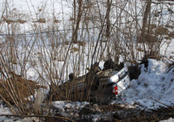 Hızını alamayınca bahçeye daldı