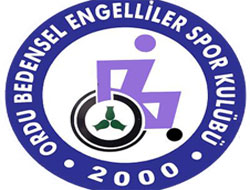 Bedensel engelliler spor şenliği