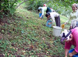 ORGİAD' dan UFK ve siyasilere çağrı