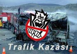 Dereli'de trafik kazası:9 Yaralı