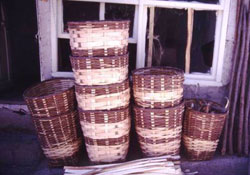 Ordu'da fındık sepeti pazara indi