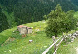 Kuzugölü Şenliği yarın başlıyor