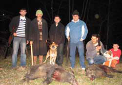 Köylü domuz nöbetine başladı