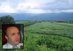 Fındık Tansiyon Hastası mı ?