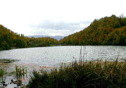 Abant Balığı Ordu'da yetiştirilmeye başlandı