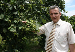 Giresun'da erken hasat uyarısı