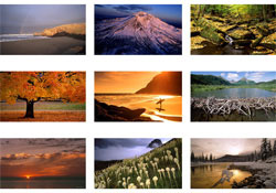 "Doğu Karadeniz yatırımla kalkınır"