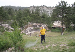 Keneye karşı yapılan ilaçlamalar yetersiz