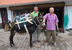 Nalbant Atıf'tan başkana tazminat davası