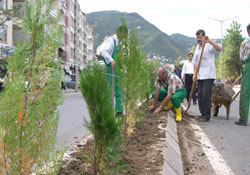 Belediye fidan dikim çalışmaları
