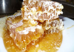 Balda kalıntı araştırmasına başlandı