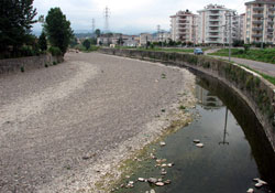 Ordu'nun dereleri suyunu çekiyor