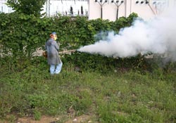 VEKTÖRLE MÜCADELE ORDUSU...İl