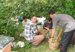 Akbaşlı'dan kaliteli fındık uyarısı