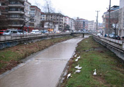 "Ordu iklimini iyi kullanamıyor"