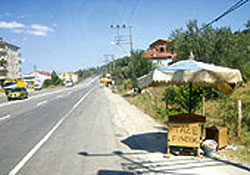 Yol kenarında fındık tezgahı