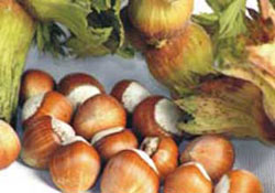 Fındık fiyatı yüksek olunca ihracatda yüksek oluyor