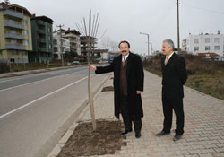Ünye ağaçlanıyor ...