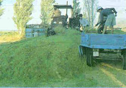 Tarımsal makina dağıtımları başladı