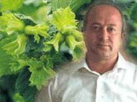 Fındıkta kooperatifcilik şart ...