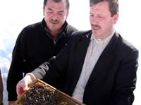 Kar oldu arıcılara "kar"