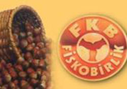 FKB ne zaman fındık alacak?