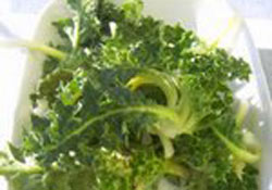 "Şevketi bostan" ye genç kal