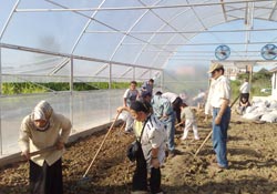 Engelliler ilk mezunlarını verdi