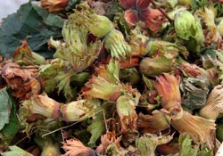 TMO parakende satış fiyatını açıkladı