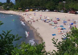 Giresun'daki 8 plaj kirli çıktı