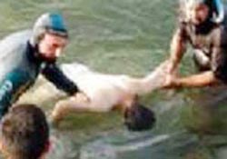 Kafa üstü denize çakılan genç öldü