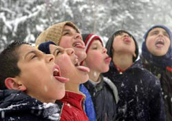 Karı yiyen hapı yutuyor