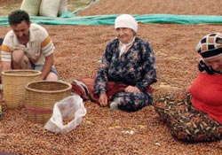 Valilik; TMO 4 ay etkin alım yapmalı