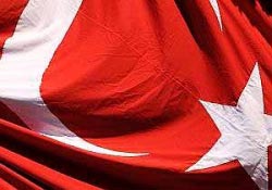 Bayrağa hakaret etti diye gözaltına alındı