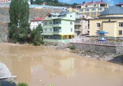Gözlerini kapat Ordu! Melet suyu içmeye devam