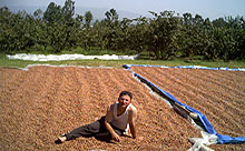 Fındıkçı isyanda, Başbakan nerede!