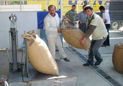 Kağnı hızı TMO Rekolte 900 bin, 4 bin aldı