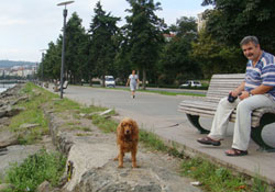Akşamı ayrı sabahı ayrı güzel...