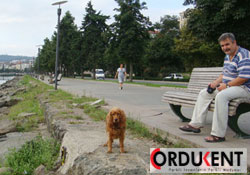 Akşamı ayrı sabahı ayrı güzel...