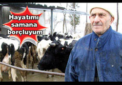 Göçükte kalan işçiyi saman balyası kurtardı