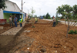 Fatsa Sanayisinde ağaçlandırma çalışması