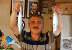 Balıkçı da vatandaş da hamsiyi bekliyor