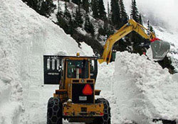 Giresun Çamoluk'ta çığ esareti