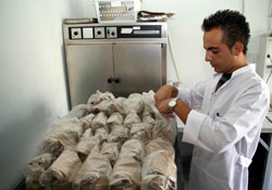 Ordu'nun toprak haritası yenileniyor