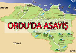 Ordu'dan asayiş haberleri