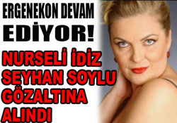 Nurseli İdiz Ergenekon'dan gözlatına alındı!